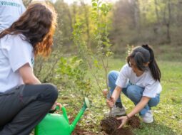 Strategies for Effective Philanthropic Engagement in Newark